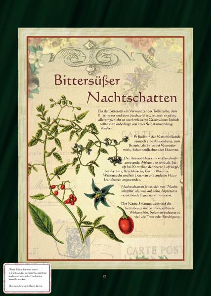 100 Bilder  - Bilderset Set 1 auf Papier (kein Fotopapier!)