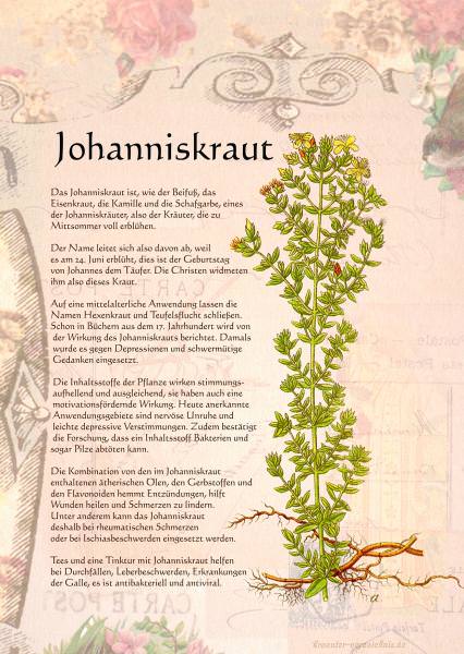 Das große Buch der Heilkräuter-Zeichnungen