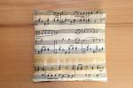 Granat­ap­fel­kern­kissen Musik